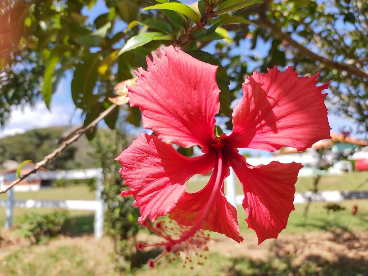 Recanto Jf Da Serra São Tomé das Letras Екстериор снимка